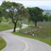 Amour_ranch_road