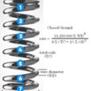 coil_spring_rate