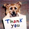 thank_you_dog