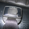 seatbelt_detail_copy