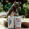 squirrel___beer