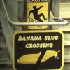 banana_crossing