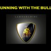 RUNNING_WITH_THE_BULLS
