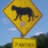 Panther_Crossing_Small