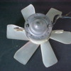 mangusta white fan