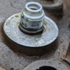 Comp Cams valve seals: Comp Cams valve seals
